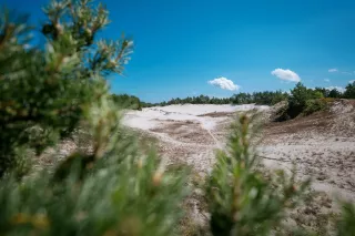 Obraz Zielone Wzgórze