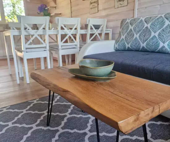 Domki do wynajęcia Zielone Wzgórze w Sasinie