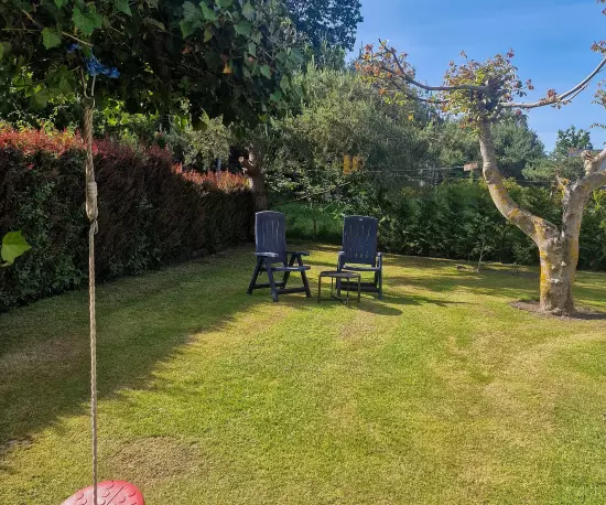 Domki drewniane i murowane w Sasinie