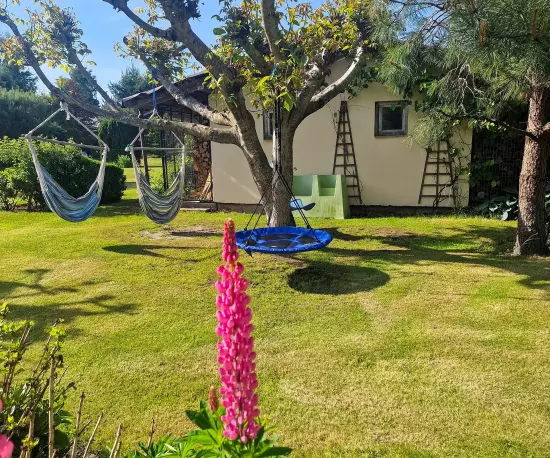 Domki drewniane i murowane w Sasinie